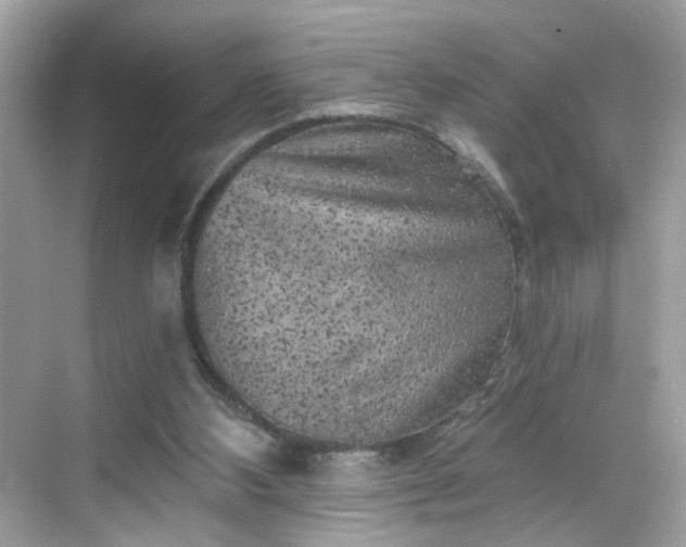 X0000068720108200605051443