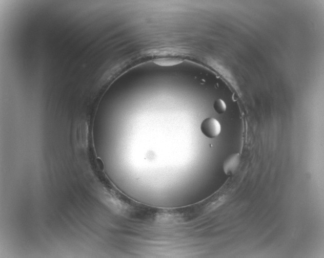 X0000068720109200605051443