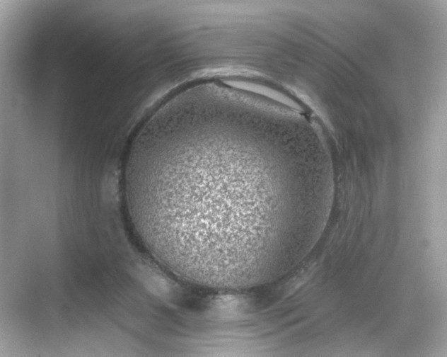 X0000068720111200605051443