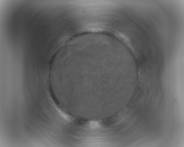 X0000068720114200605051443