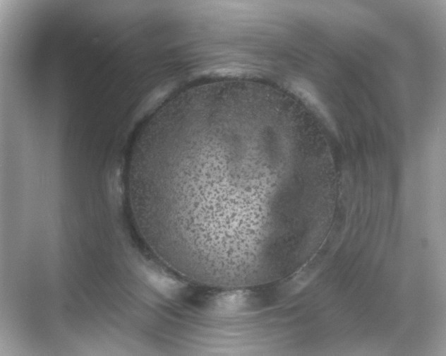 X0000068720116200605051443