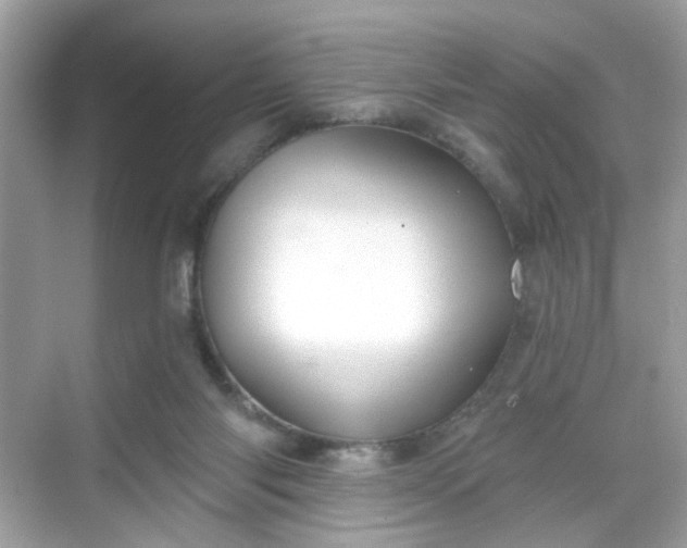 X0000068720118200605051443