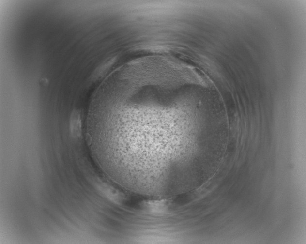 X0000068720120200605051443