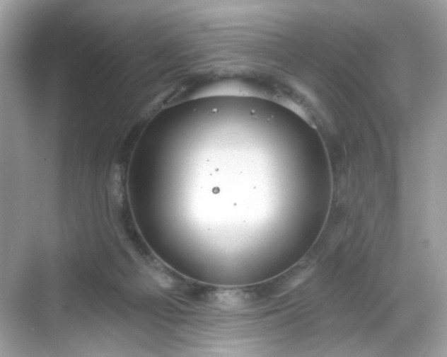 X0000068720121200605051443