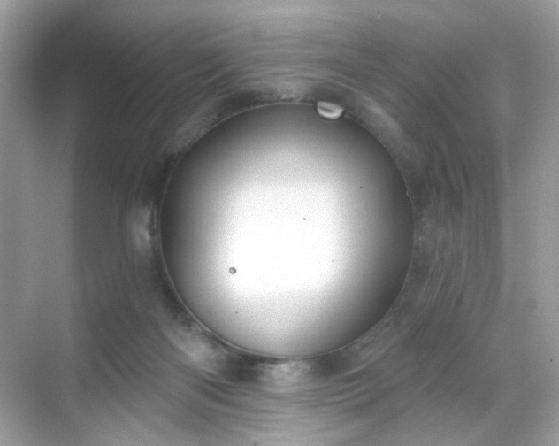 X0000068720122200605051443