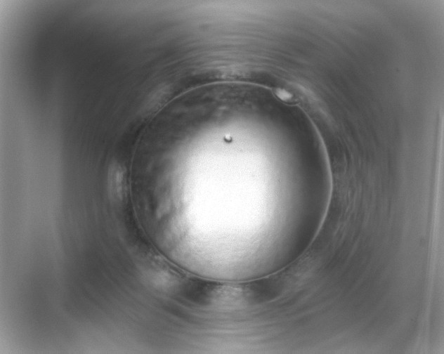 X0000068720123200605051443