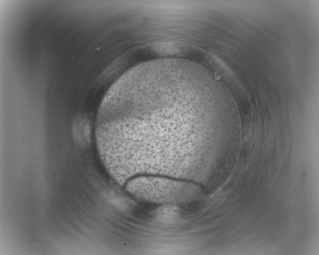 X0000068720124200605051443