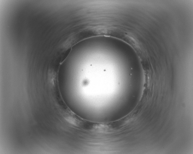 X0000068720125200605051443