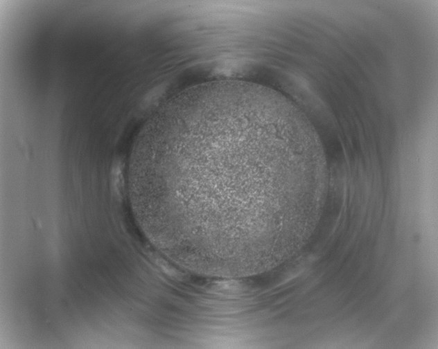 X0000068720127200605051443