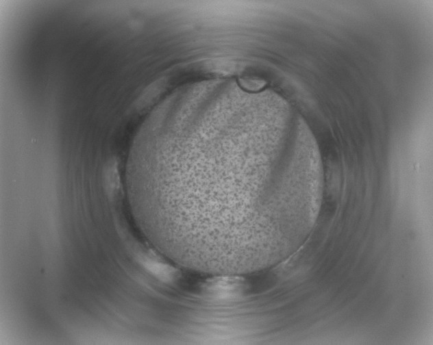 X0000068720128200605051443