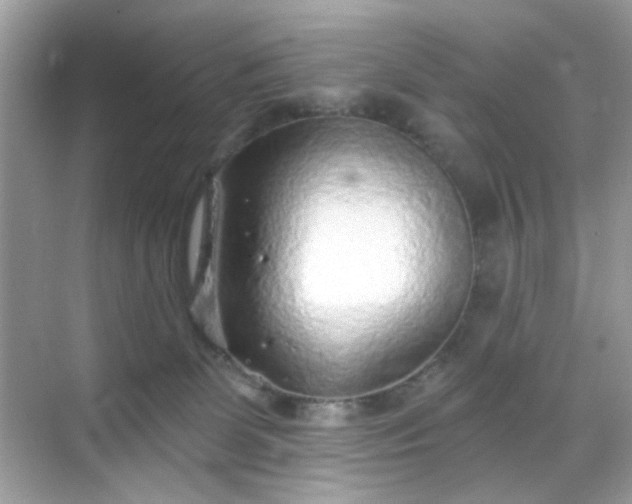 X0000068720131200605051443