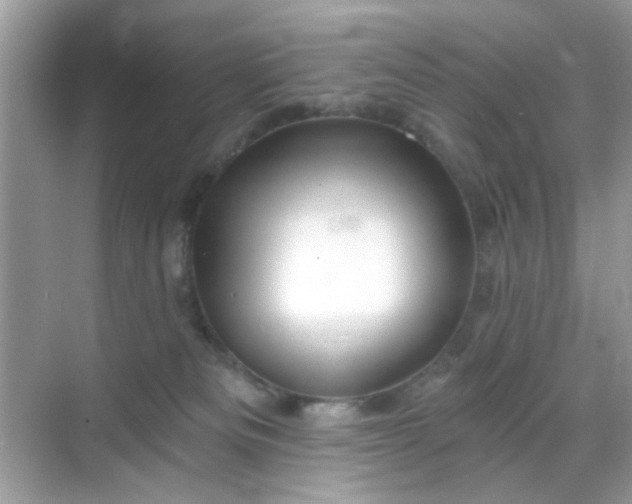 X0000068720133200605051443