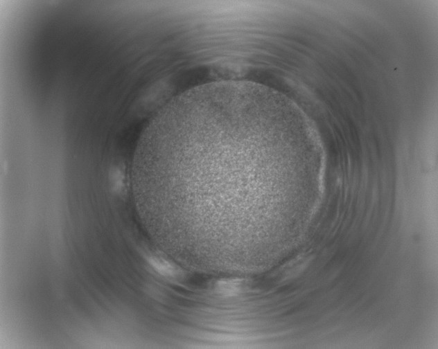 X0000068720134200605051443