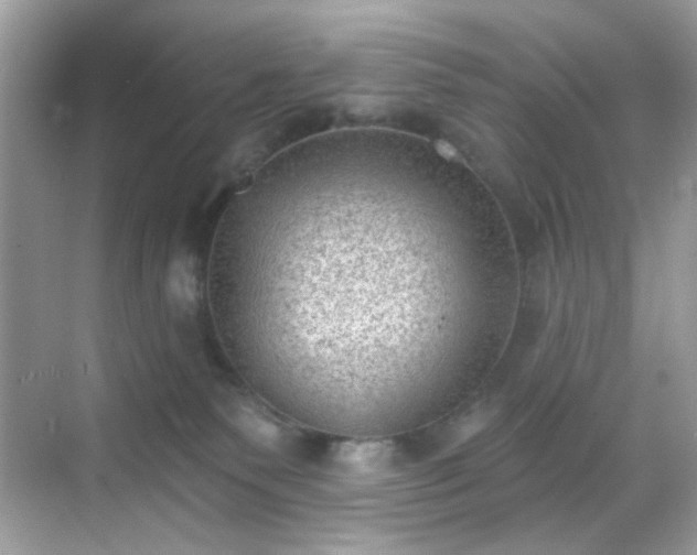 X0000068720135200605051443