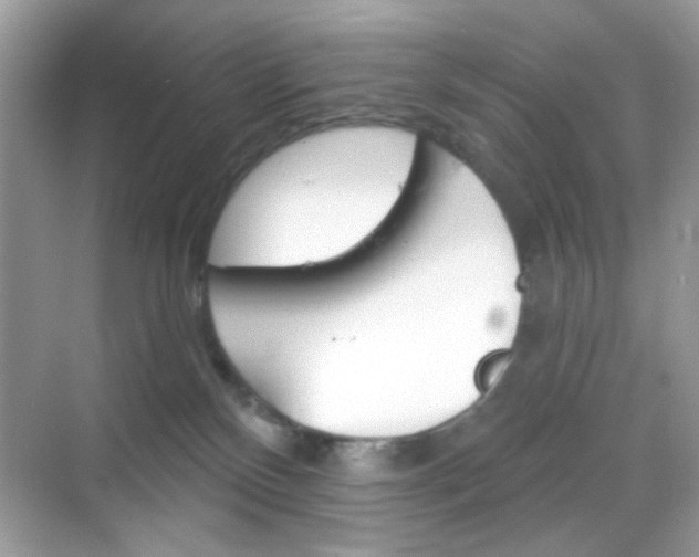 X0000068720136200605051443