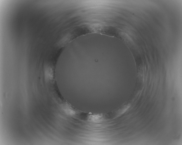 X0000068720139200605051443