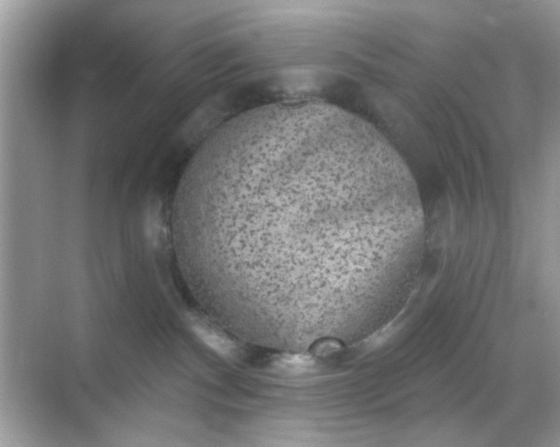 X0000068720140200605051443