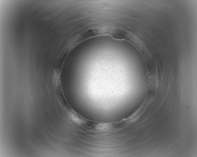 X0000068720142200605051443