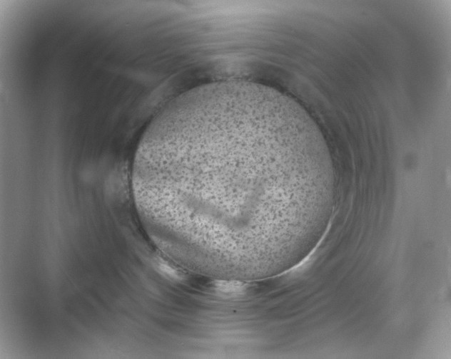 X0000068720144200605051443