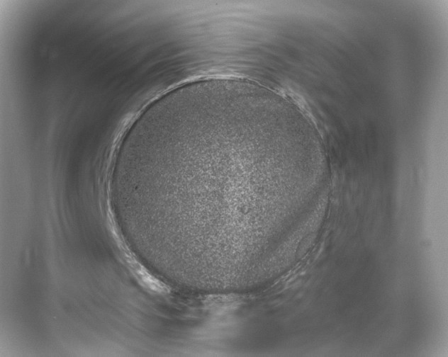 X0000068720145200605051442