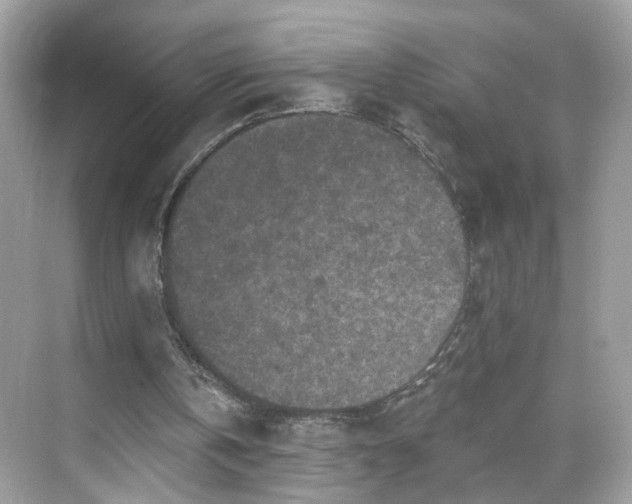 X0000068720146200605051442