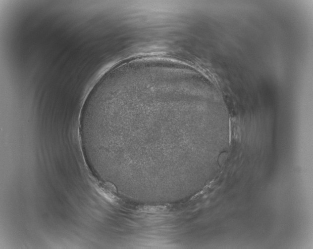 X0000068720147200605051442