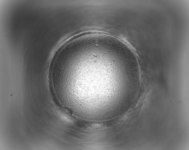 X0000068720151200605051442