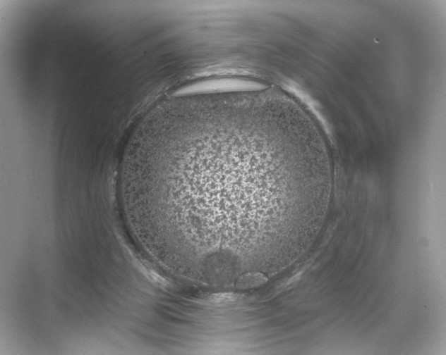 X0000068720153200605051442