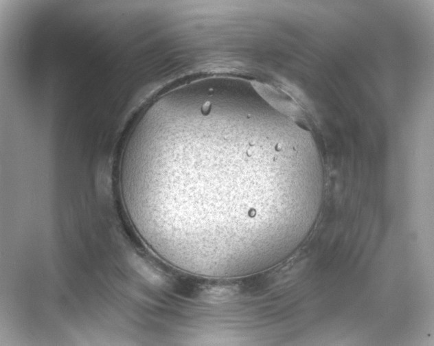 X0000068720155200605051442