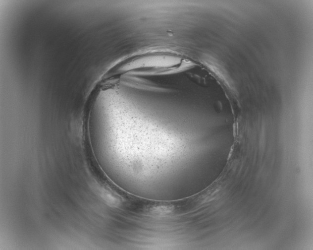 X0000068720156200605051442