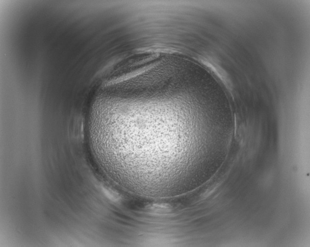 X0000068720157200605051442