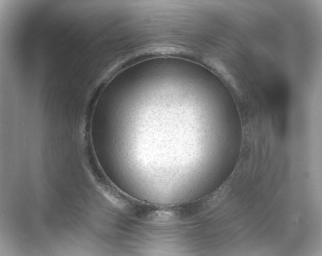 X0000068720159200605051442