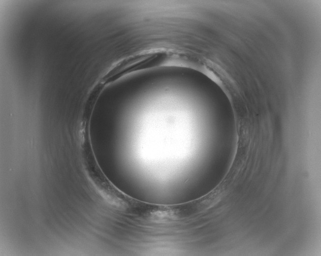 X0000068720160200605051442