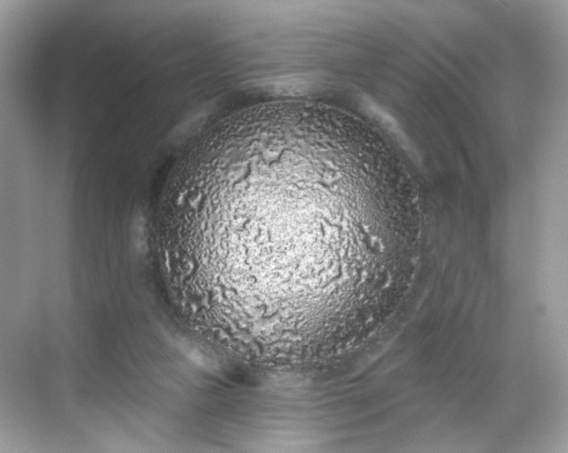 X0000068720161200605051442