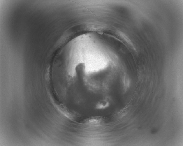 X0000068720163200605051442