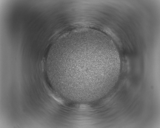 X0000068720165200605051442