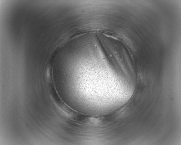 X0000068720166200605051442