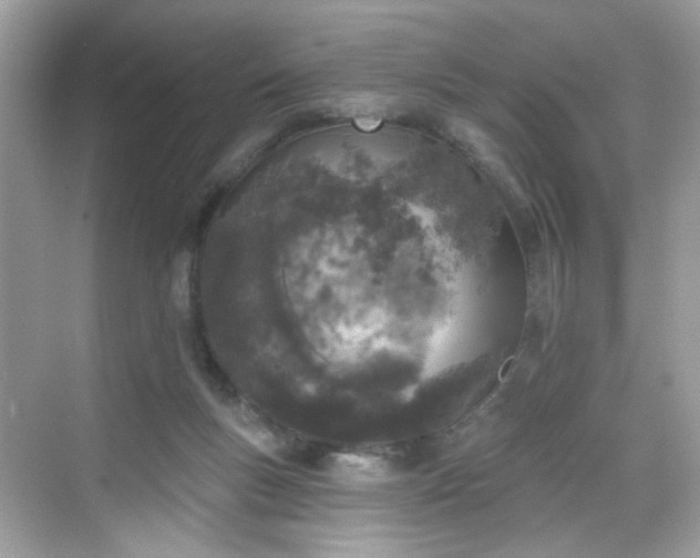 X0000068720167200605051442