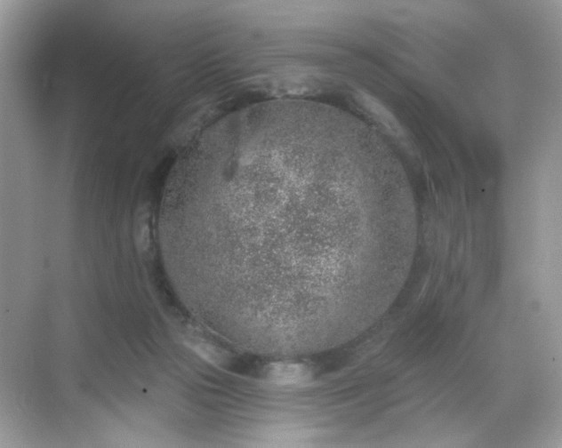 X0000068720169200605051442