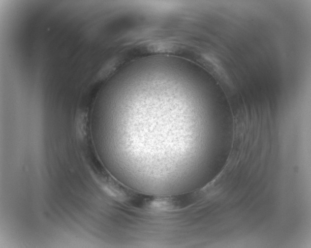 X0000068720171200605051442