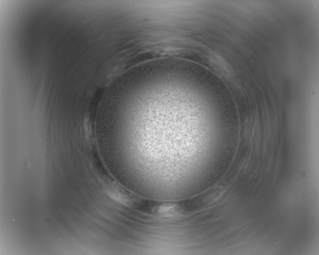 X0000068720173200605051442