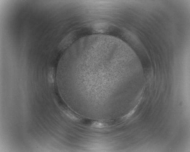 X0000068720174200605051442