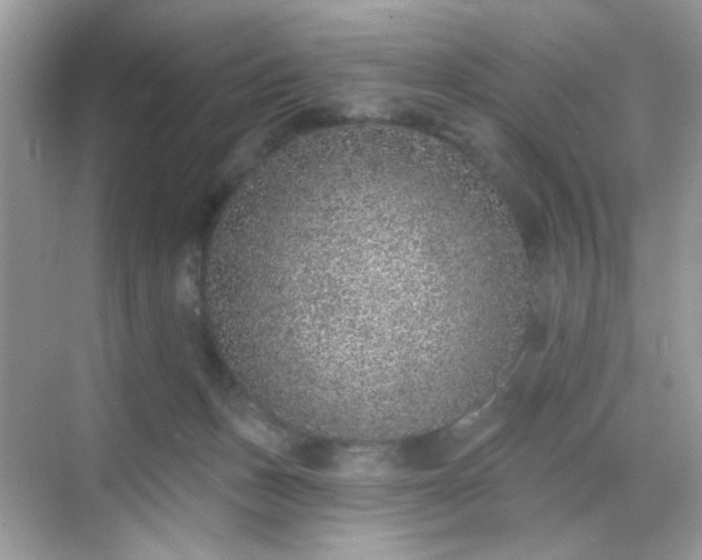 X0000068720175200605051442