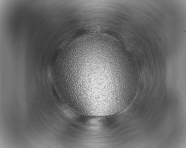 X0000068720178200605051442