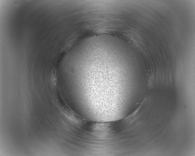 X0000068720179200605051442