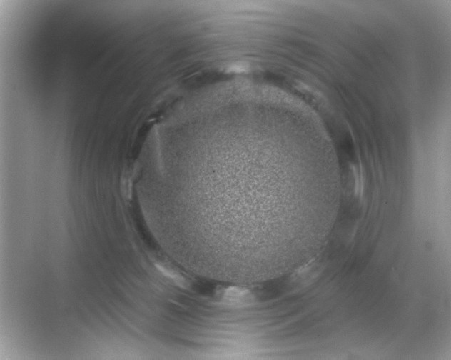 X0000068720180200605051442