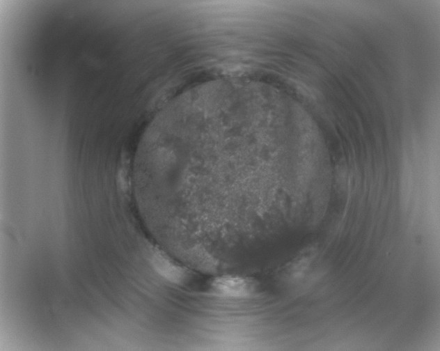 X0000068720181200605051442