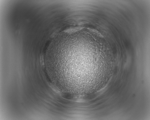 X0000068720182200605051442