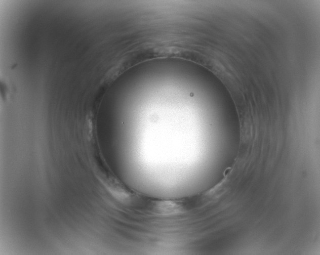 X0000068720183200605051442