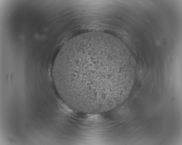 X0000068720185200605051442